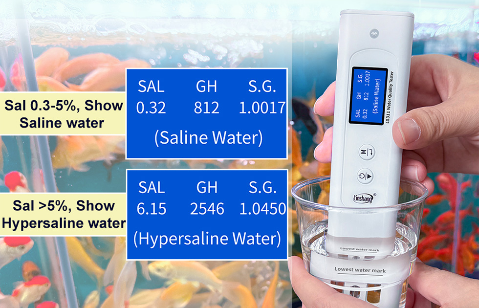 LS311 Tests Saltwater