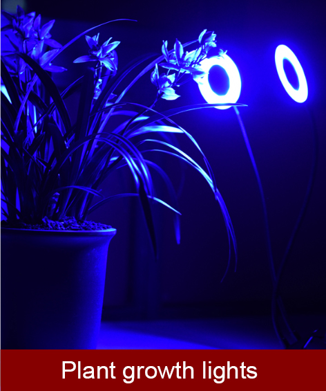 Plant growth lights