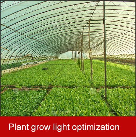 plant grow light optimization