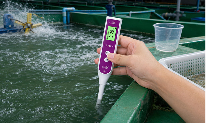 Aquaculture salinity detection