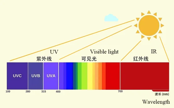 Light Transmission Inspection